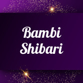 Bambi Shibari