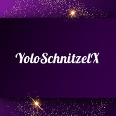 YoloSchnitzelX