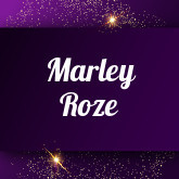 Marley Roze Standing Doggystyle and Leaked gratis | Tik.Porn